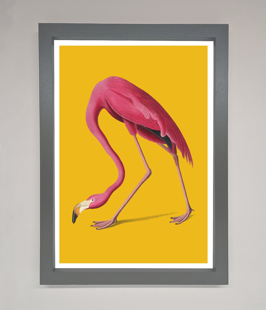 Pink Flamingo On Yellow Framed Print