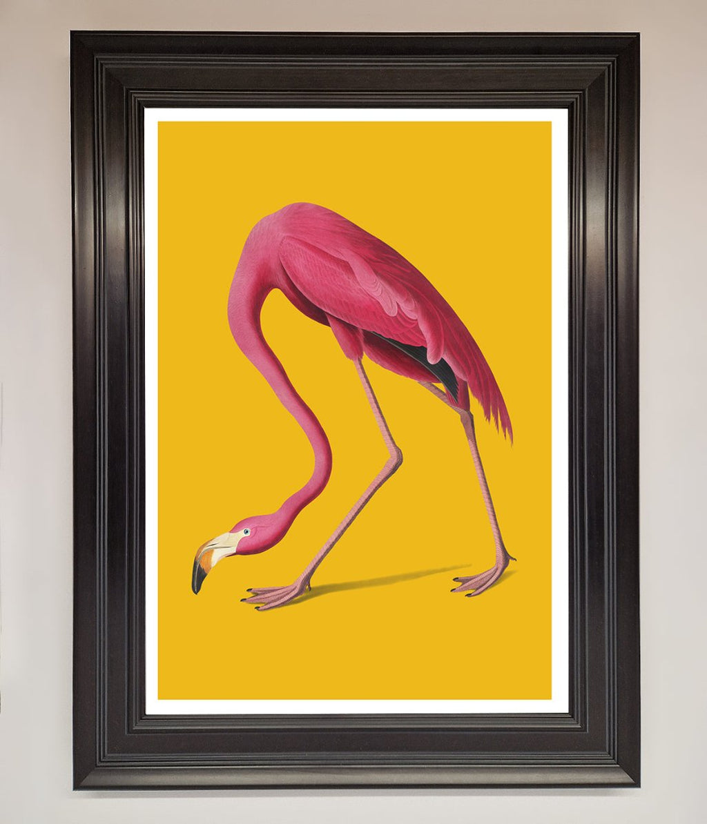 Pink Flamingo On Yellow Framed Print