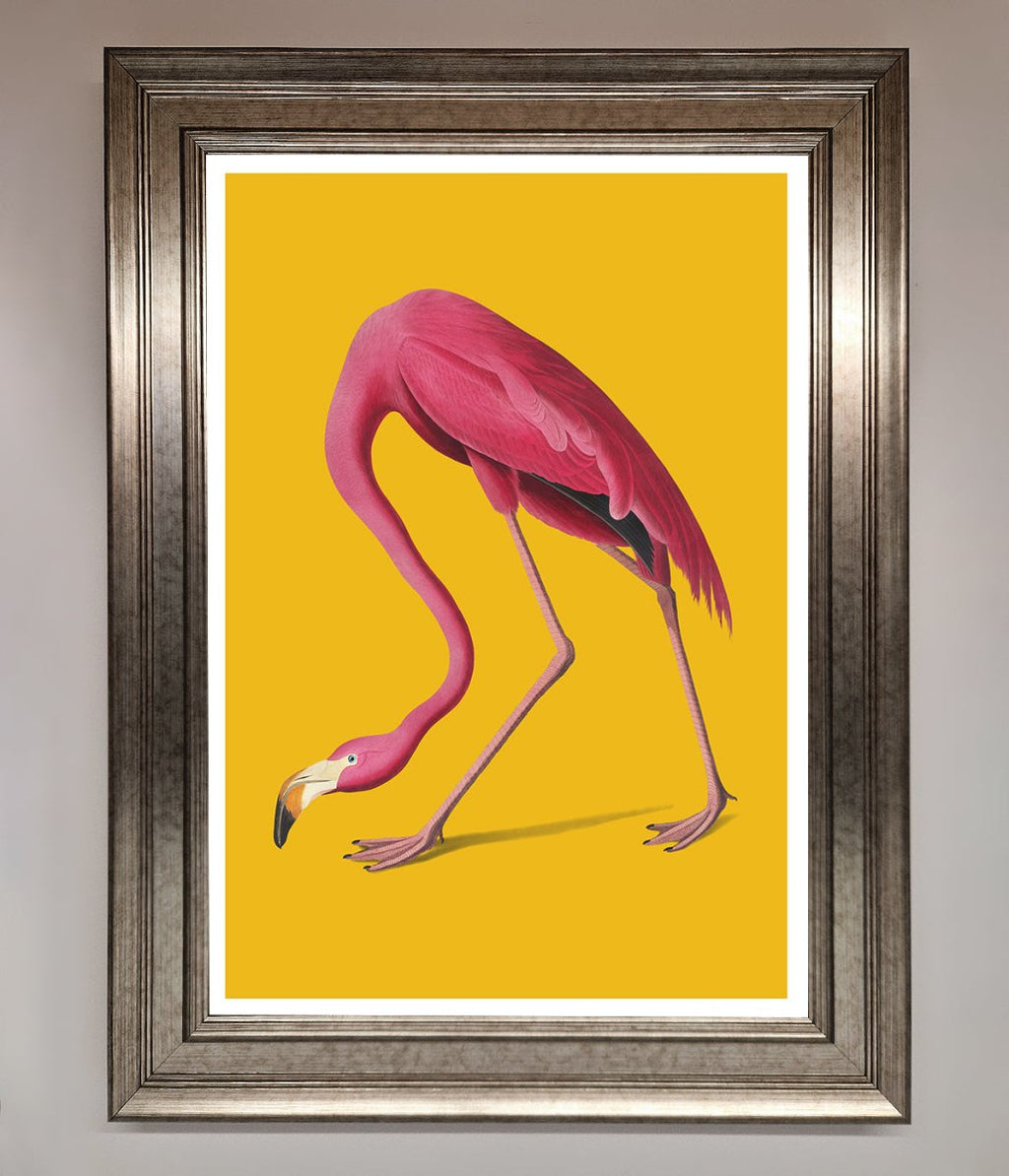 Pink Flamingo On Yellow Framed Print