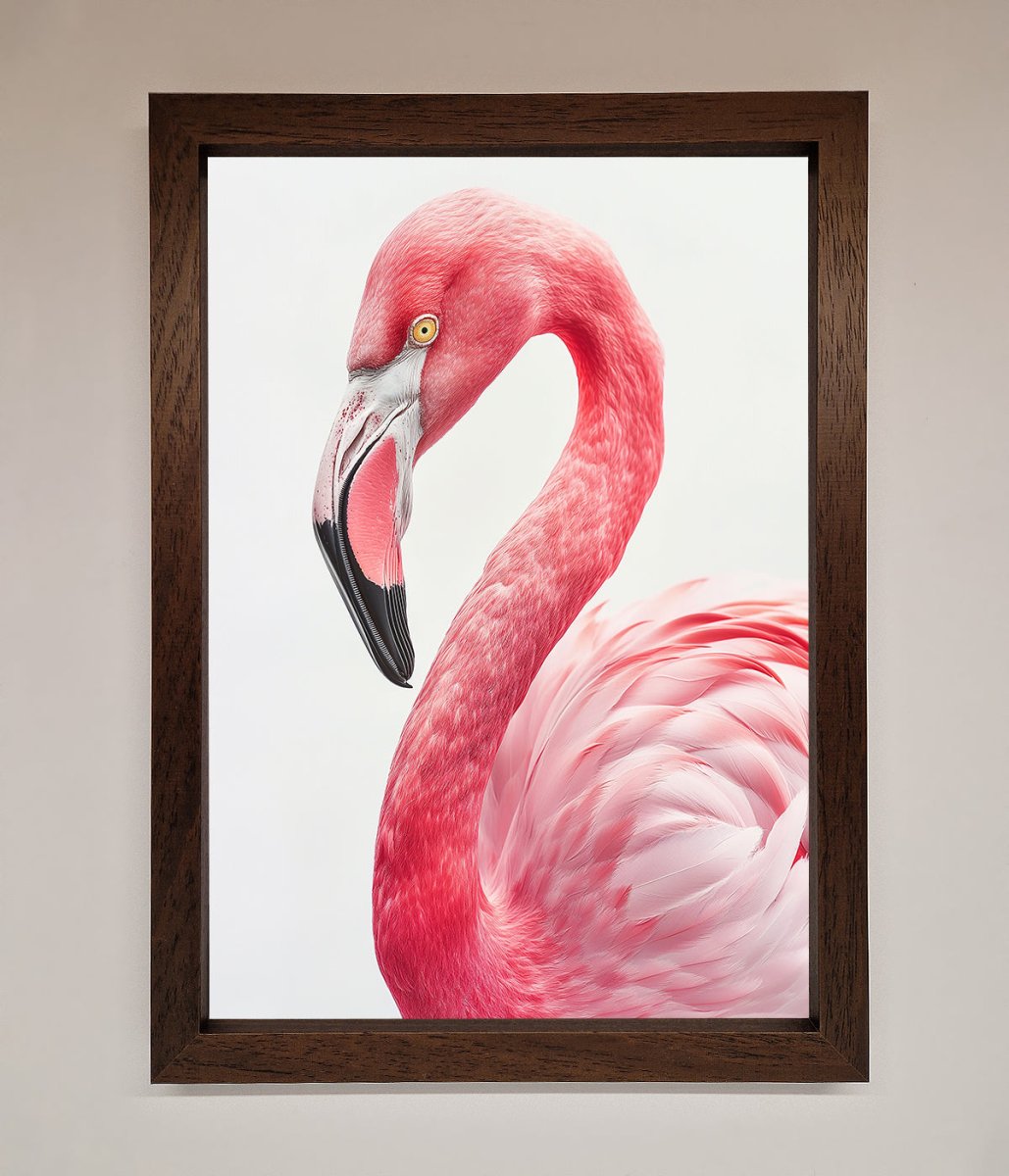 Pink Flamingo Stare Framed Print