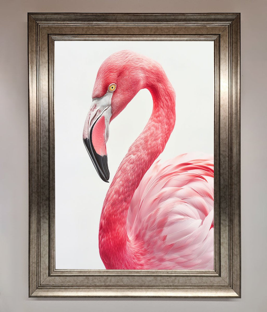 Pink Flamingo Stare Framed Print