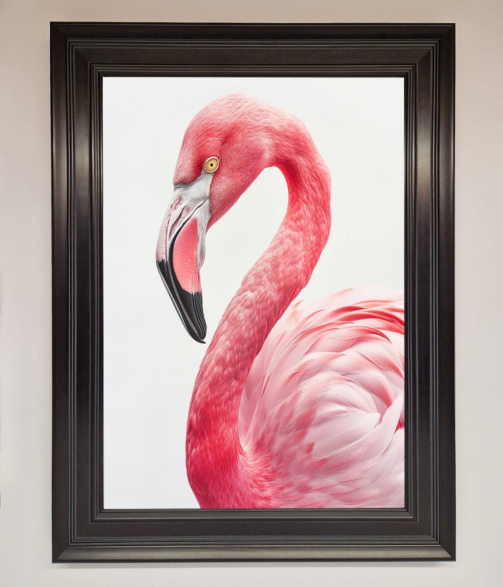Pink Flamingo Stare Framed Print