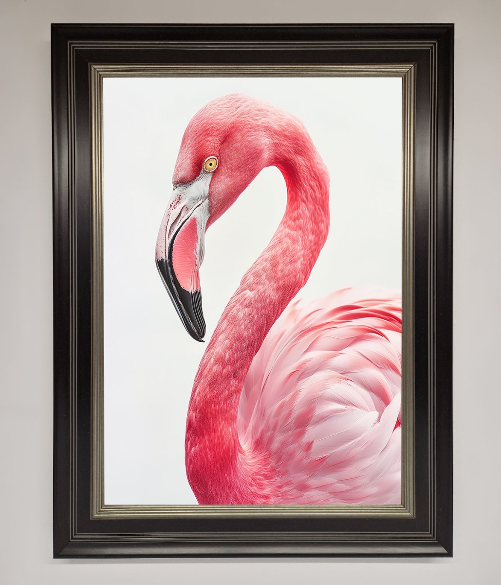Pink Flamingo Stare Framed Print