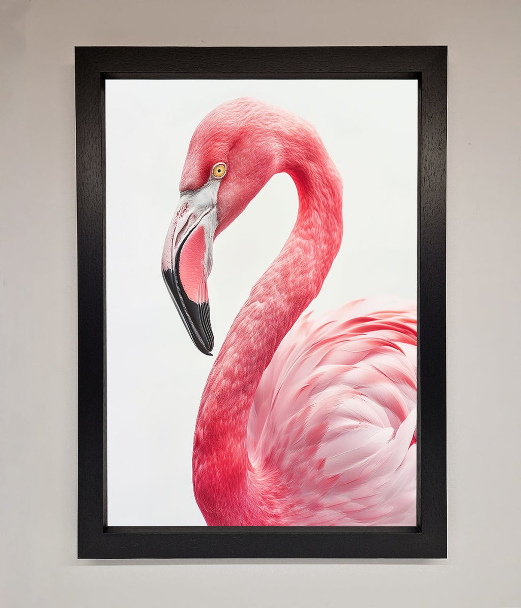 Pink Flamingo Stare Framed Print