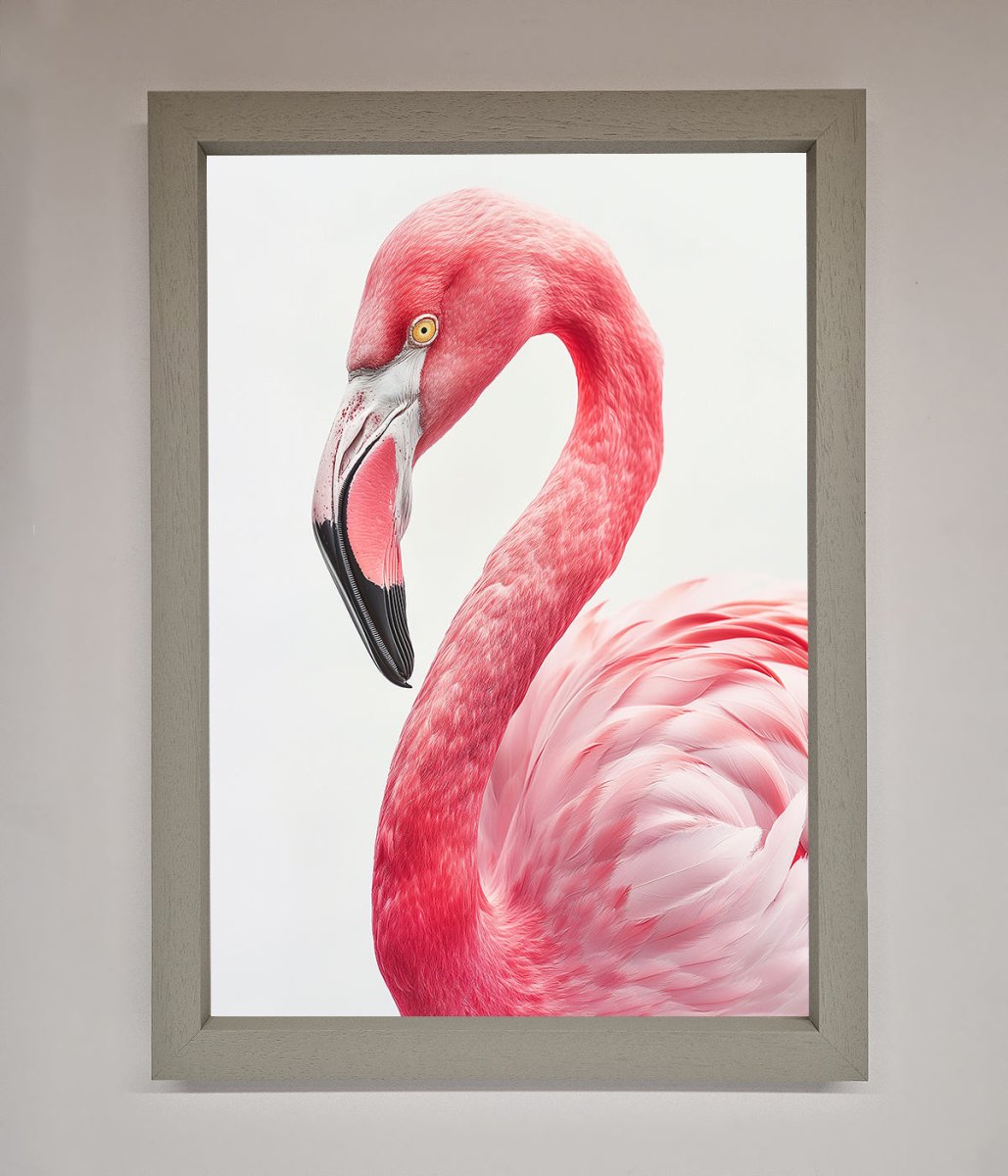 Pink Flamingo Stare Framed Print