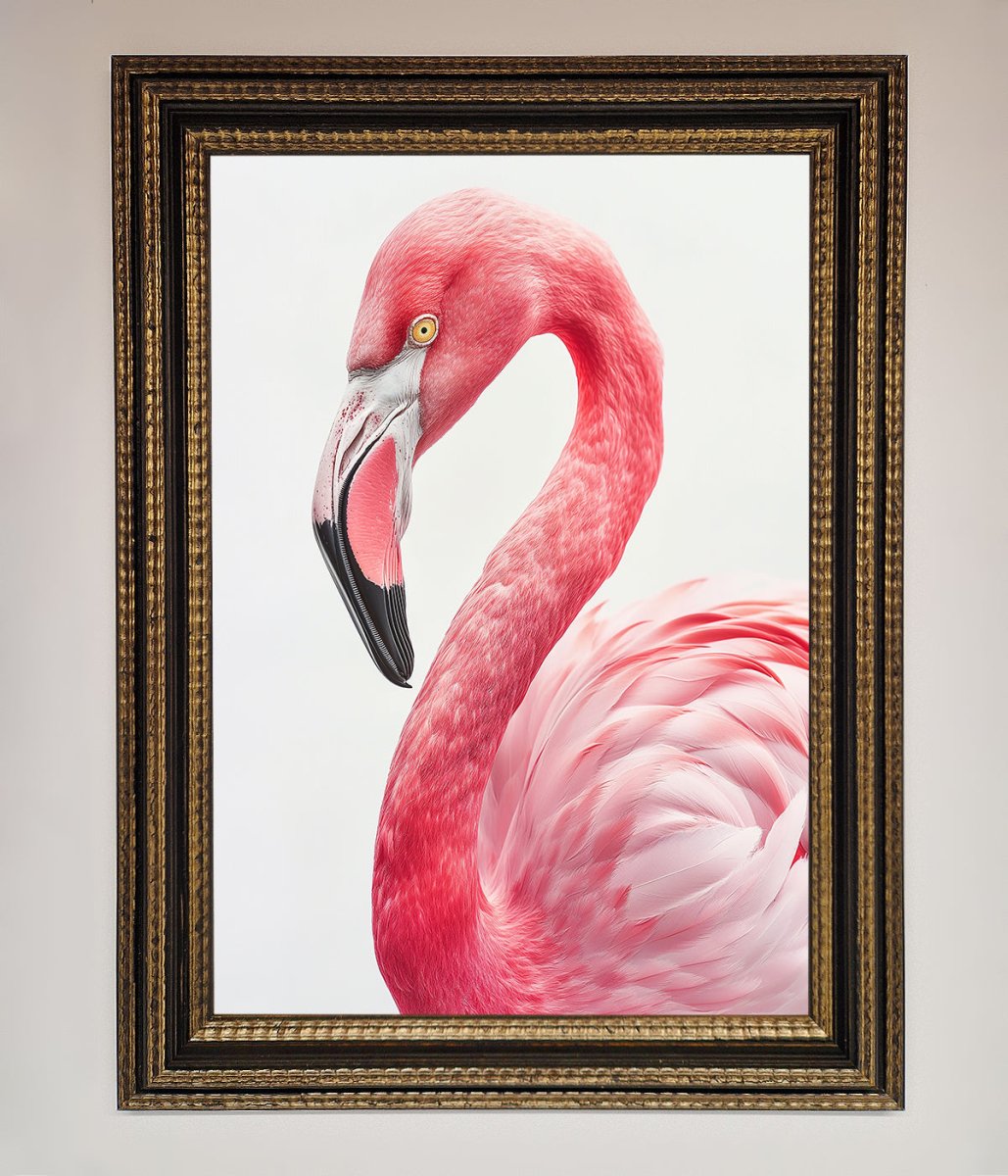 Pink Flamingo Stare Framed Print