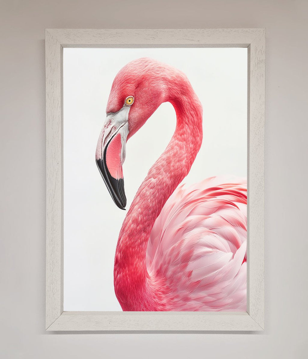 Pink Flamingo Stare Framed Print