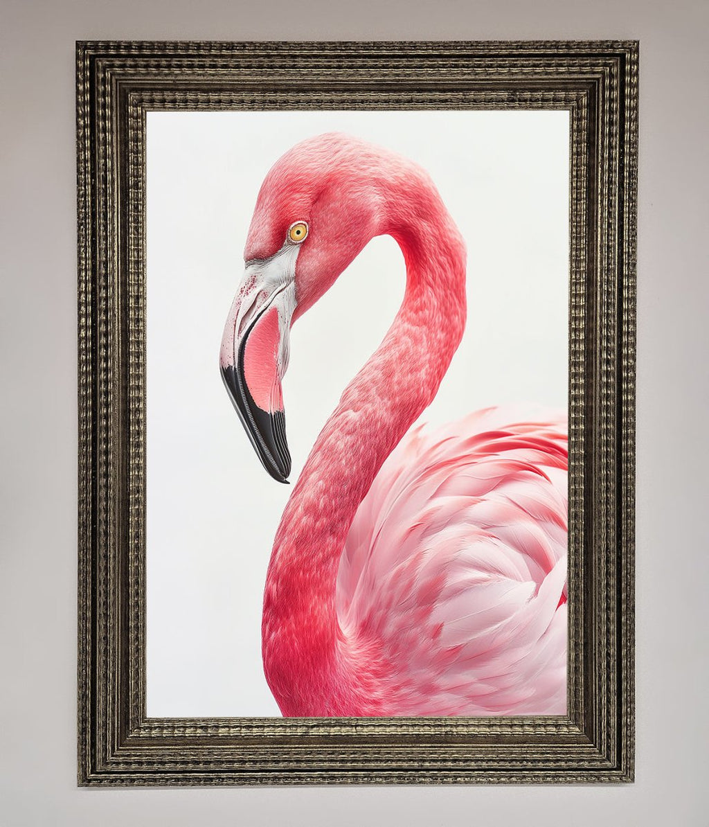 Pink Flamingo Stare Framed Print