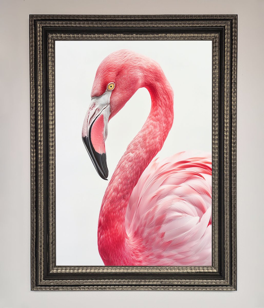Pink Flamingo Stare Framed Print
