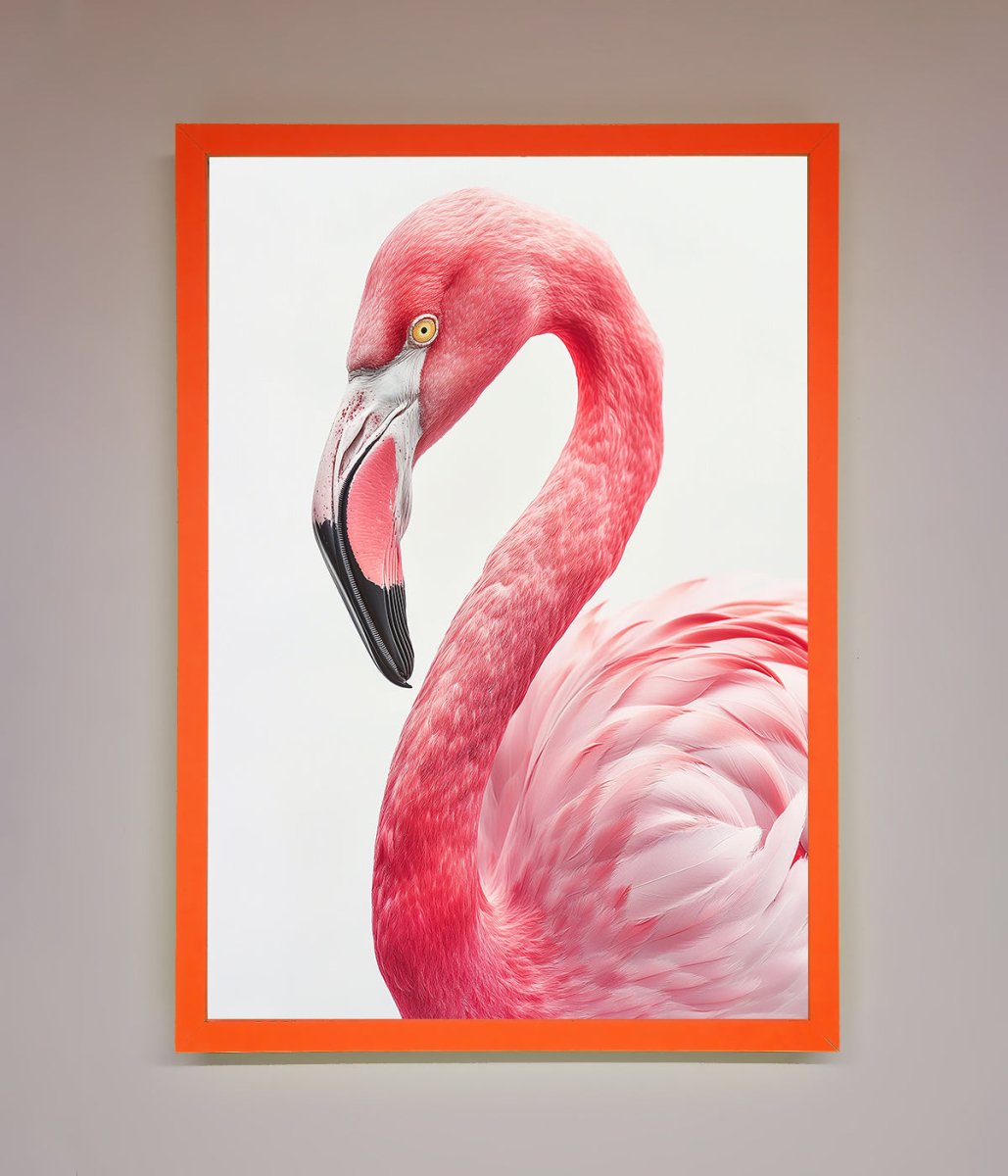 Pink Flamingo Stare Framed Print