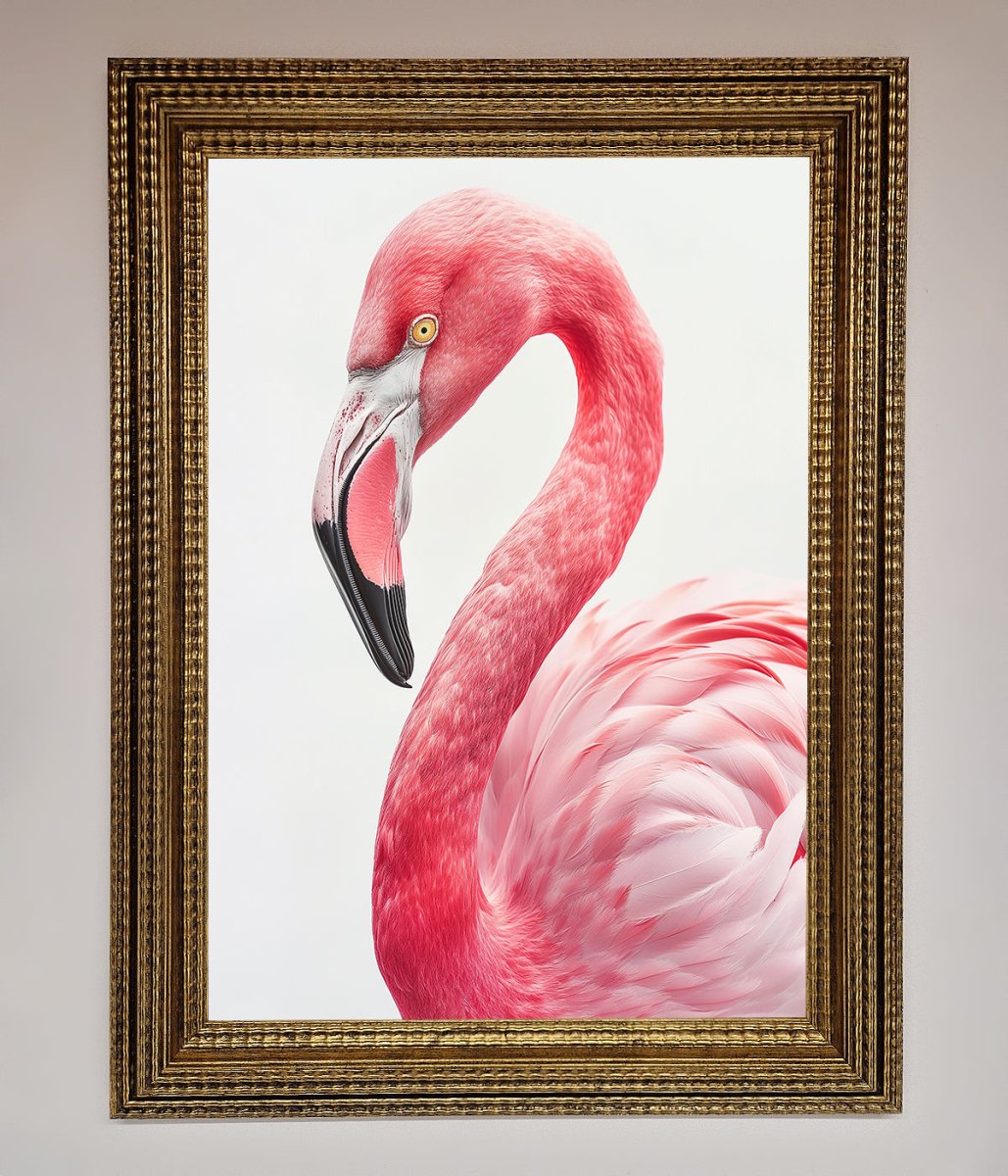 Pink Flamingo Stare Framed Print