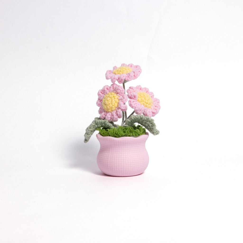 Blooming Joy: Whimsical Garden Pastel Pot Collection