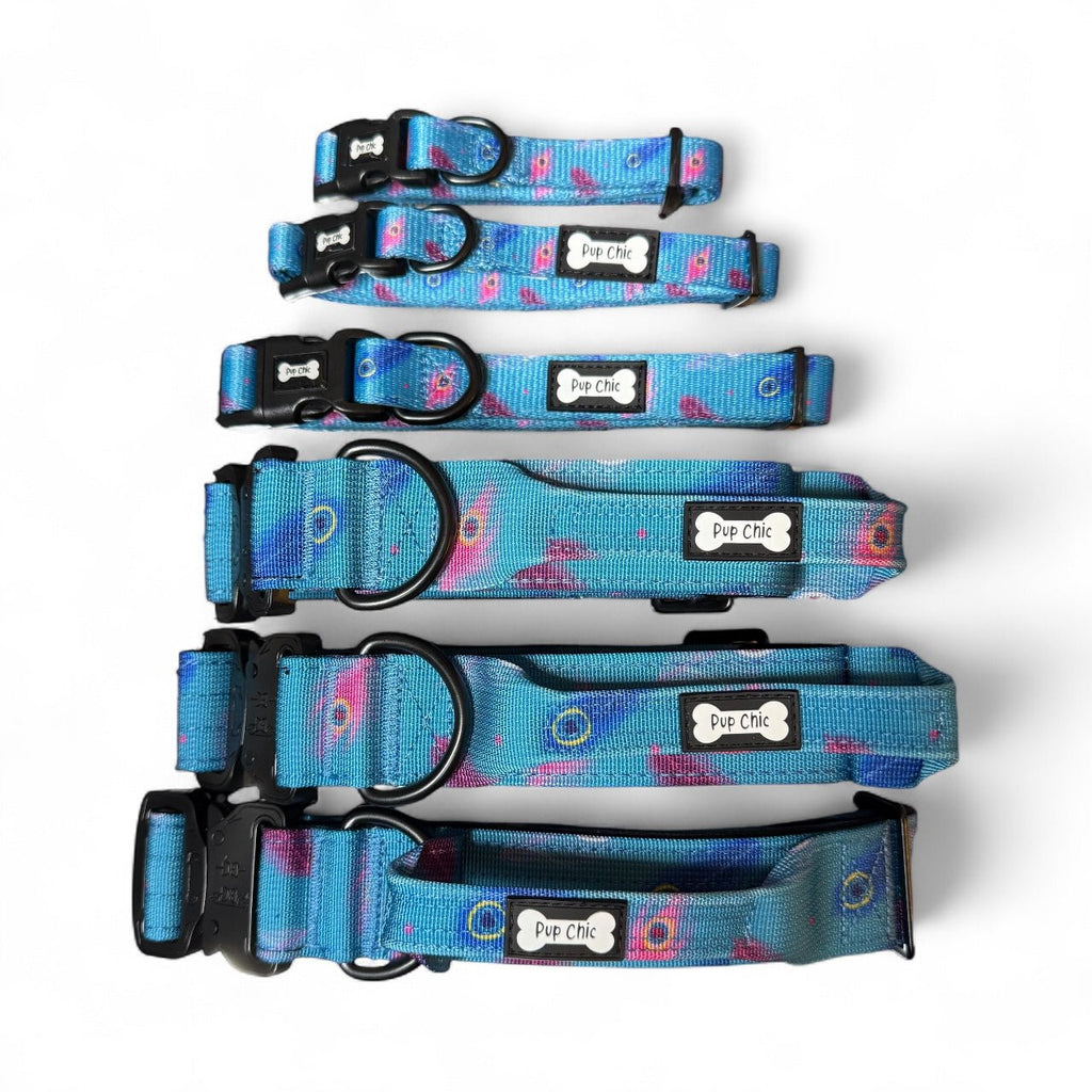 Power Peacock Adjustable Tactical Dog Collar
