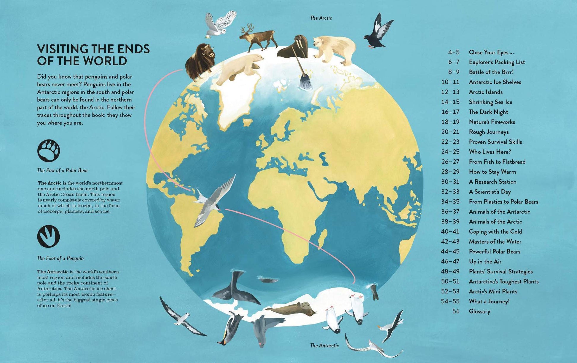Penguins and Polar Bears Arctic Antarctic Guide