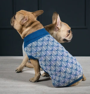 confident dog modeling a bold navy blue pullo sweater with soft pastel stripes