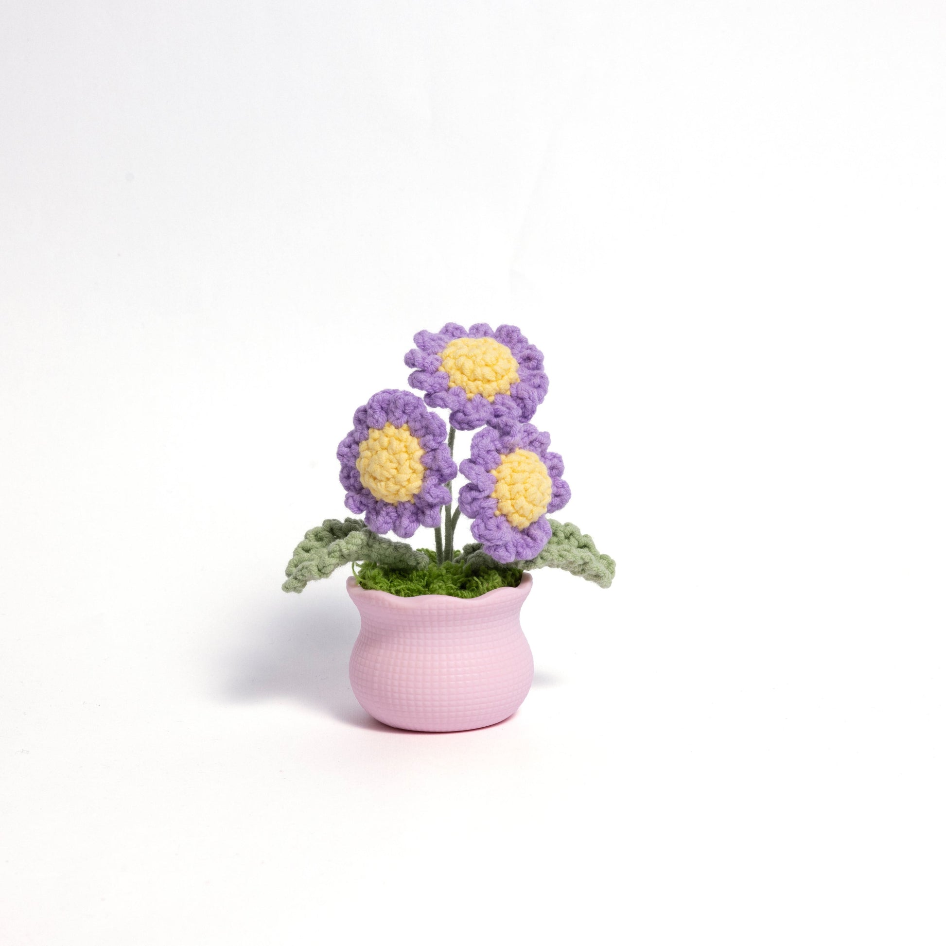Blooming Joy: Whimsical Garden Pastel Pot Collection