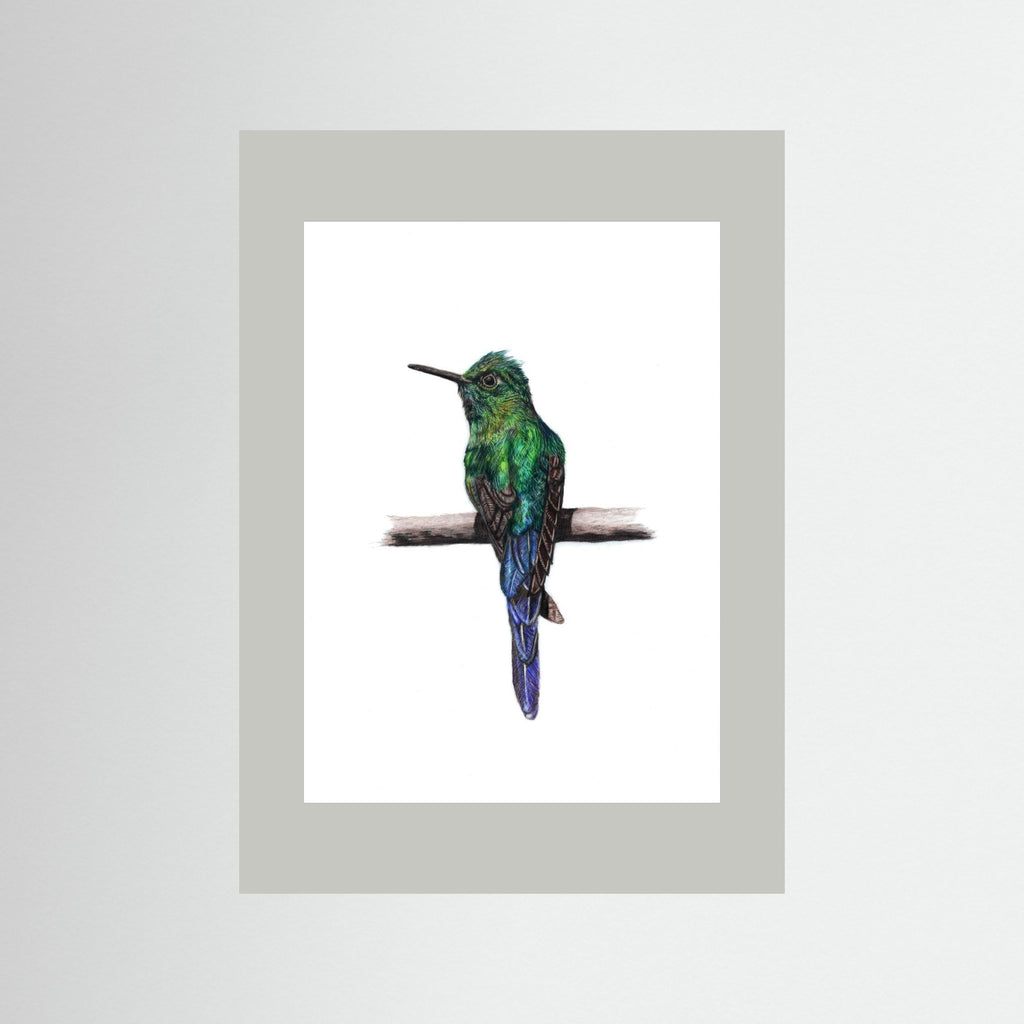 Hummingbird Art Print Wildlife Wall Art for Nature Lovers