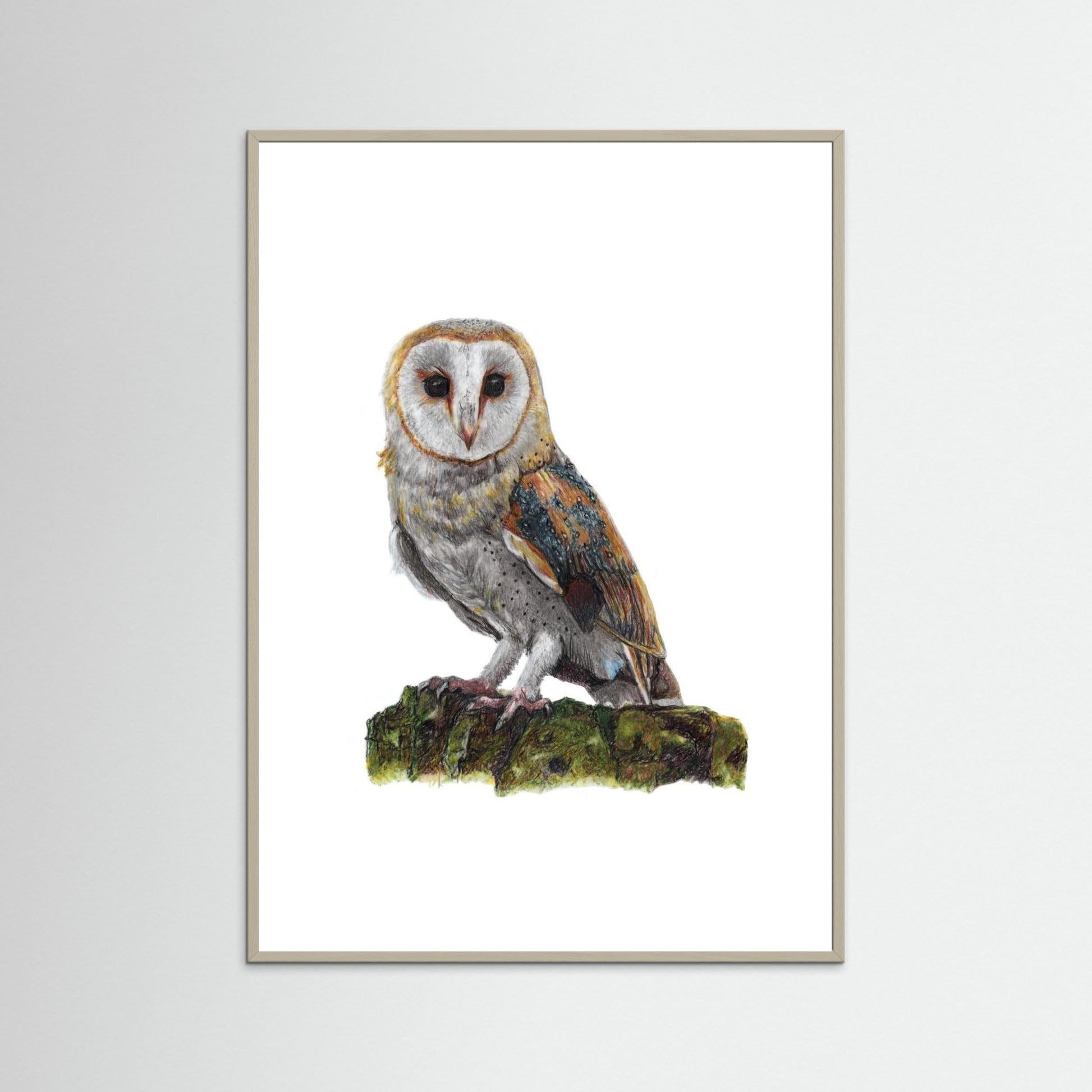 Barn Owl Art Print Wildlife Wall Art for Nature Lovers