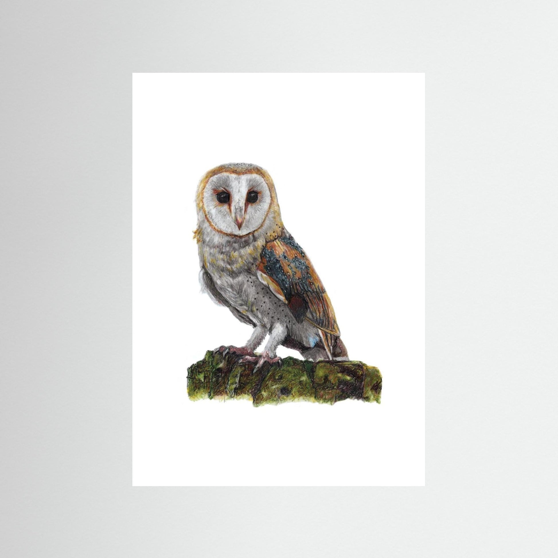 Barn Owl Art Print Wildlife Wall Art for Nature Lovers