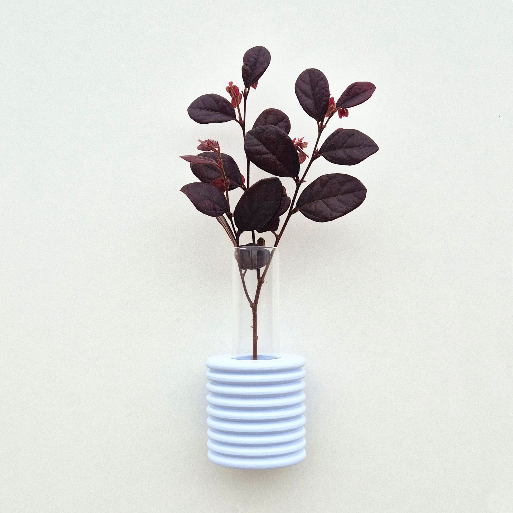 bold light blue ribble wall vase on a modern concrete wall
