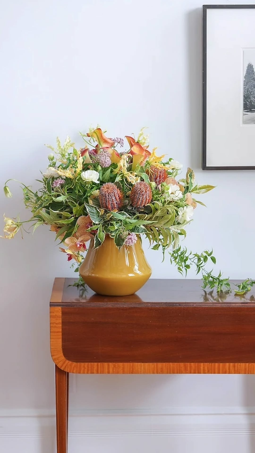 Orchid POT MARCO - JUNGLE GREEN