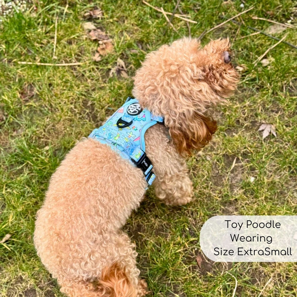 Rugged Rover™ Harness - Jurassic Party