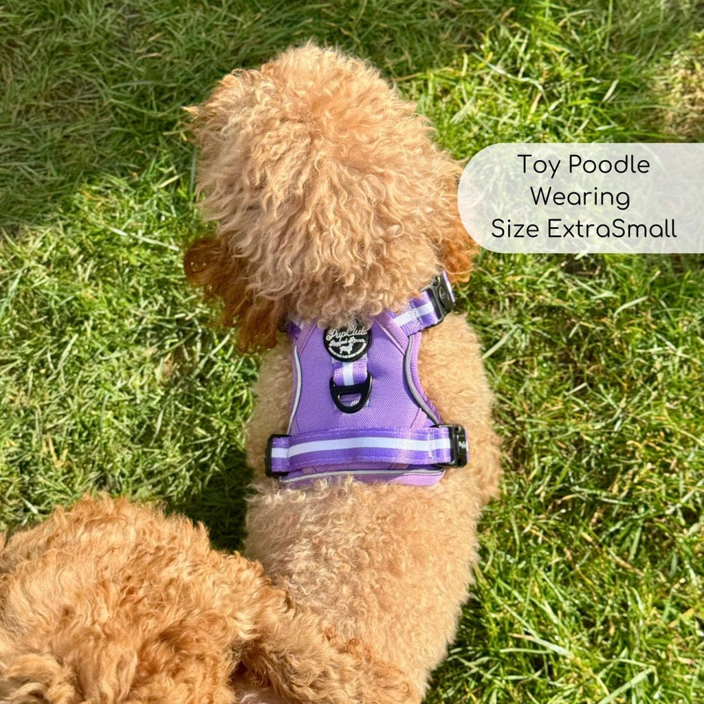 Rugged Rover™ Harness - Lilac Blush