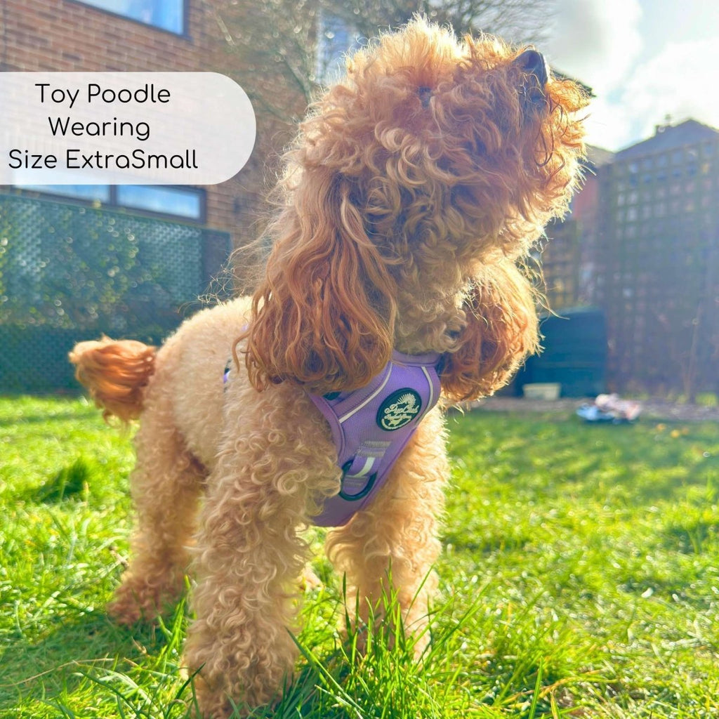 Rugged Rover™ Harness - Lilac Blush