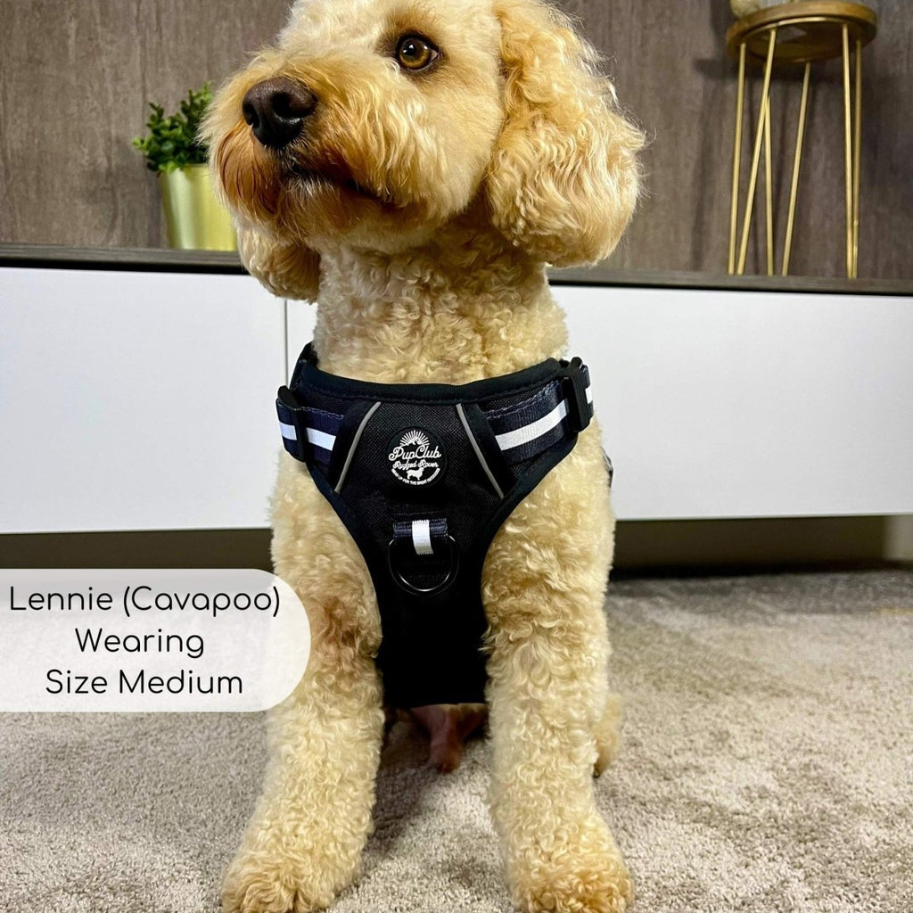 Rugged Rover™ Harness - Midnight Black