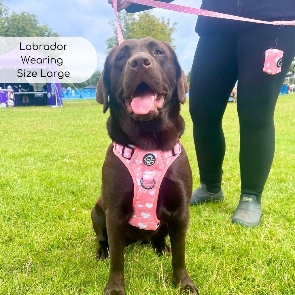 Rugged Rover™ Harness - Peachy Hearts