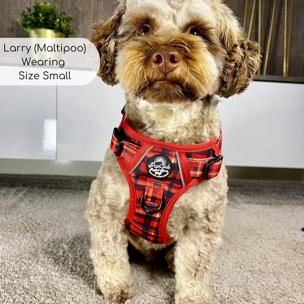 Rugged Rover™ Harness - Red Tartan