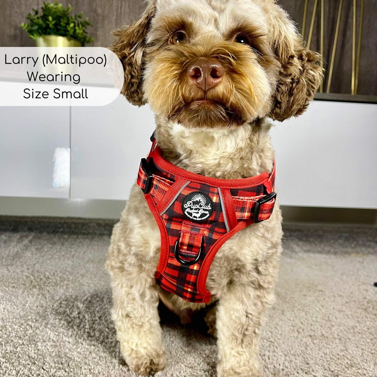 Rugged Rover™ Harness - Red Tartan