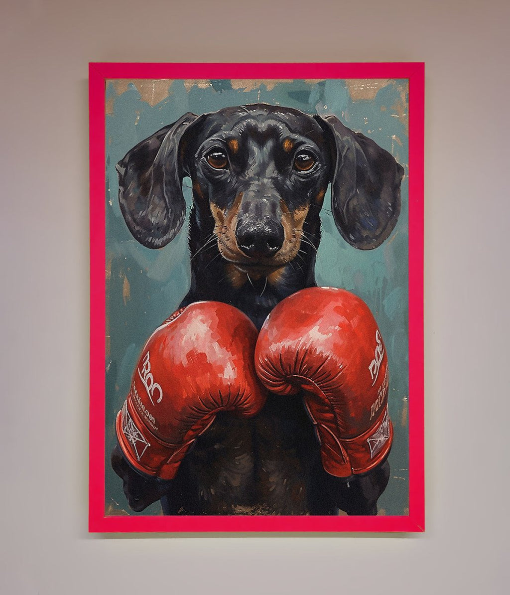 Sausage Dog Boxing Framed Print