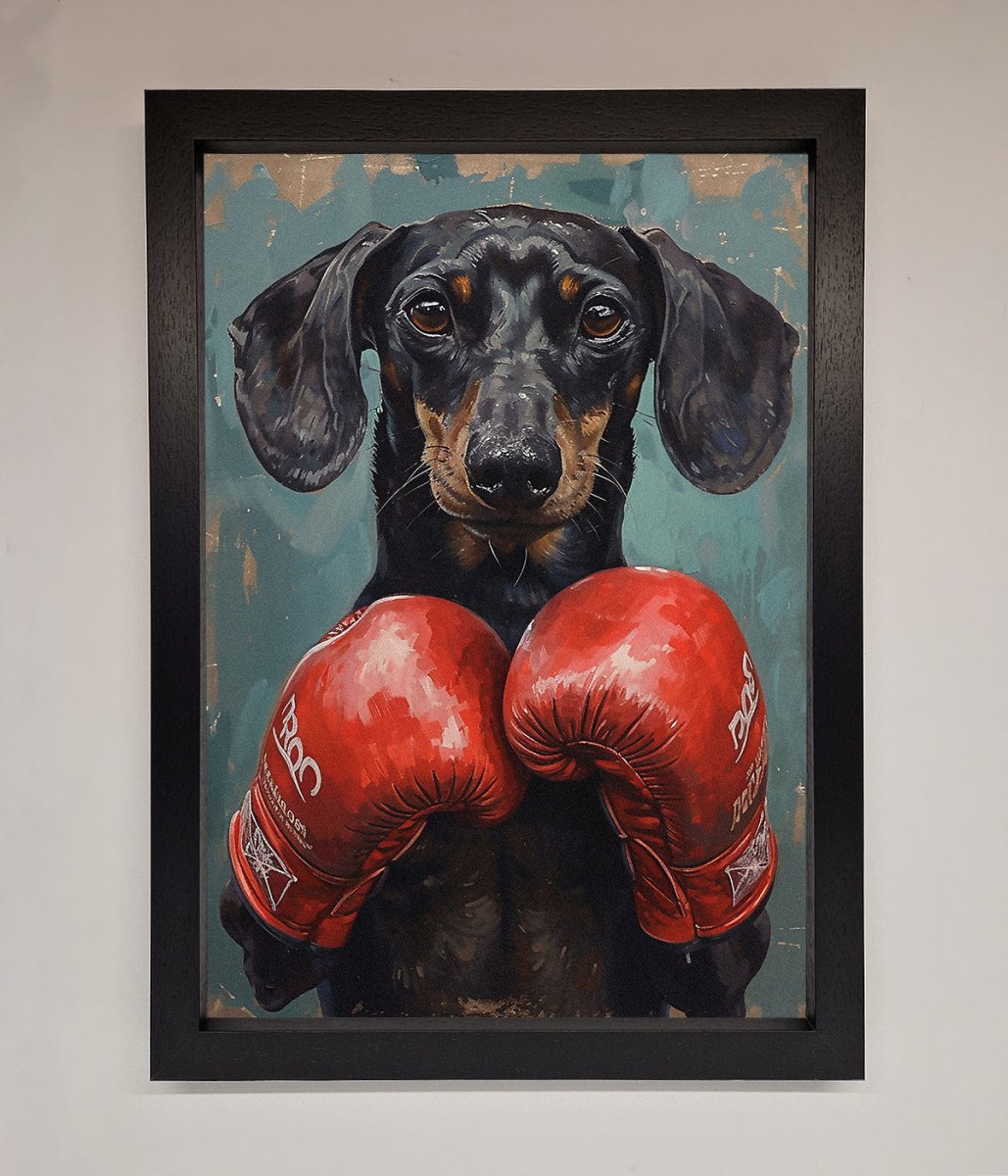 Sausage Dog Boxing Framed Print