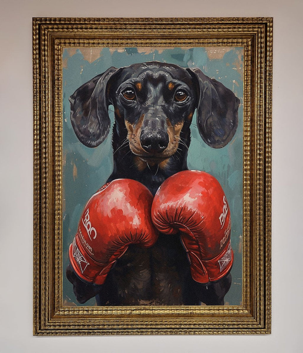 Sausage Dog Boxing Framed Print