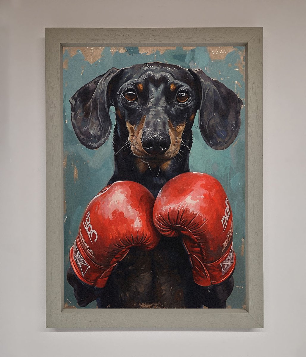 Sausage Dog Boxing Framed Print