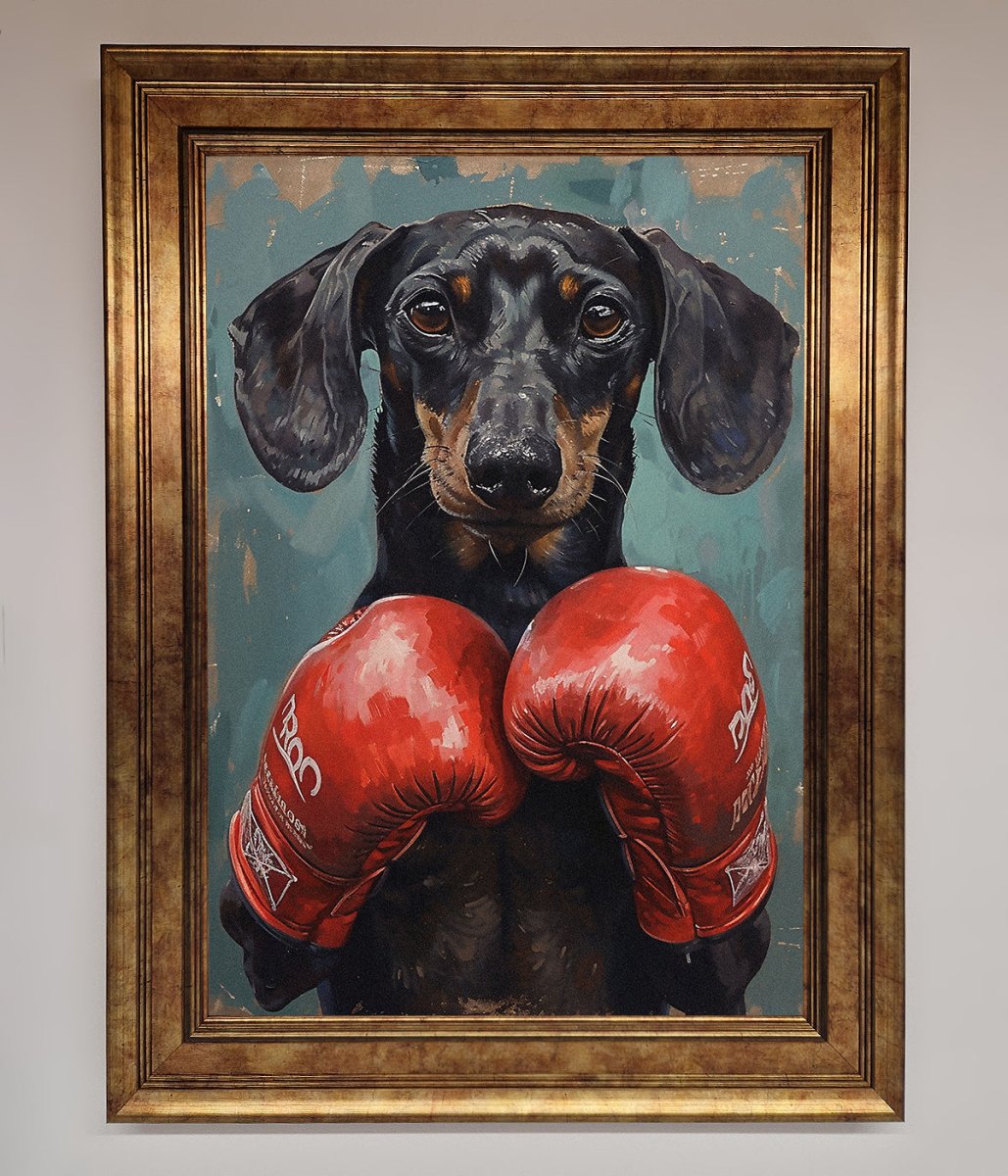 Sausage Dog Boxing Framed Print