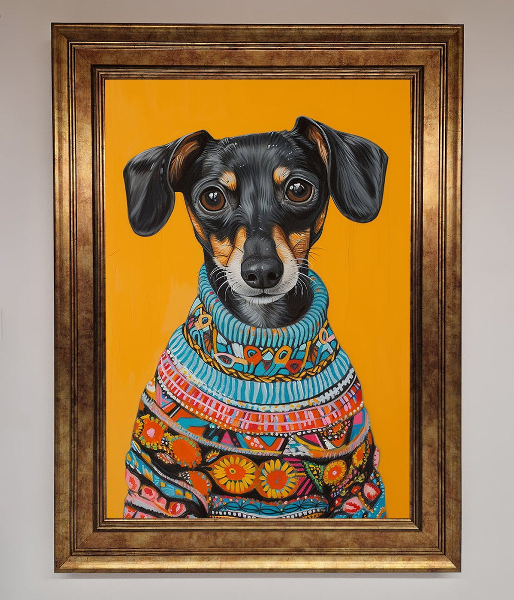 Sausage Dog In A Sweater Framed Print