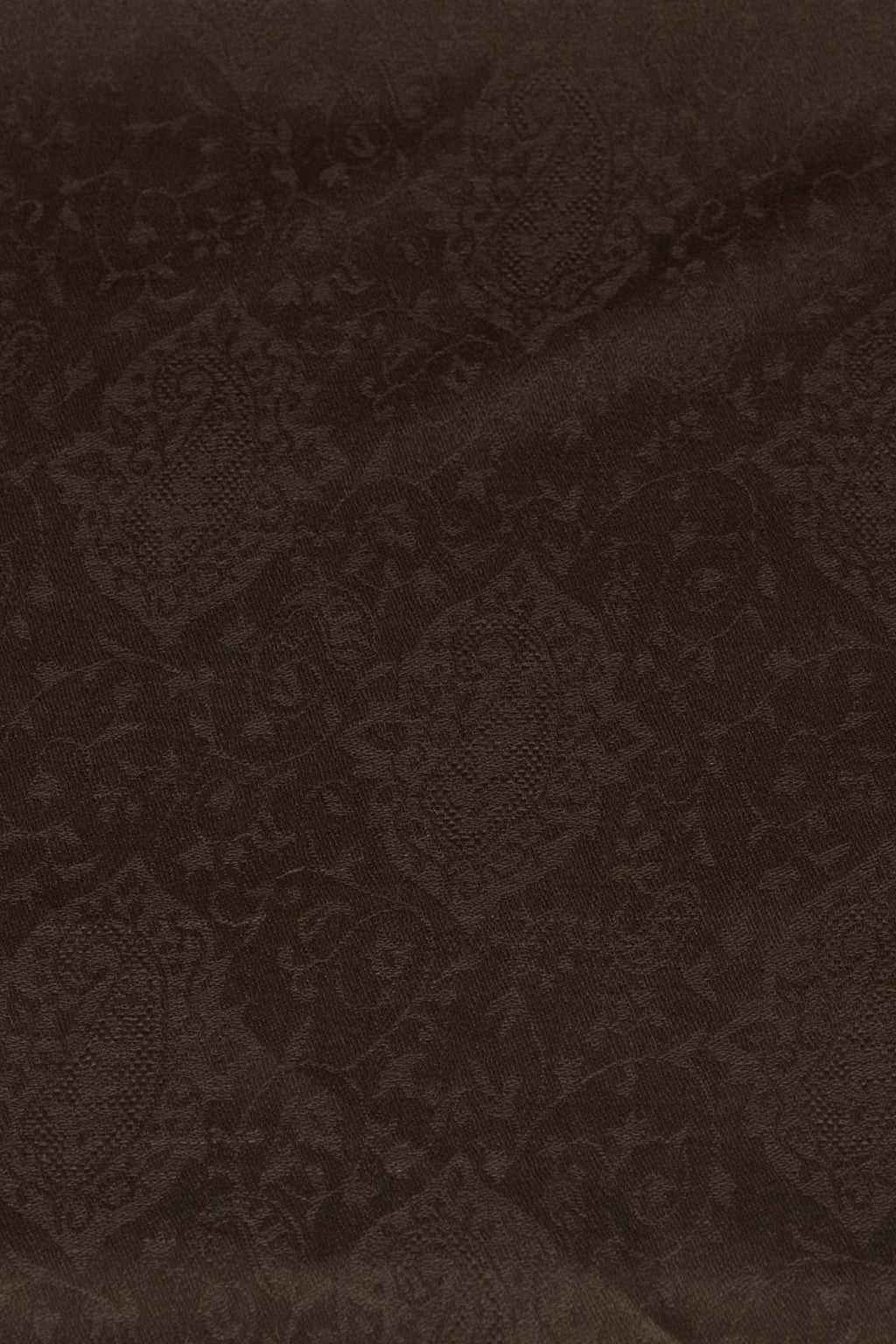 Paisley Jacquard Weave Cashmere Wool Scarf - Brown