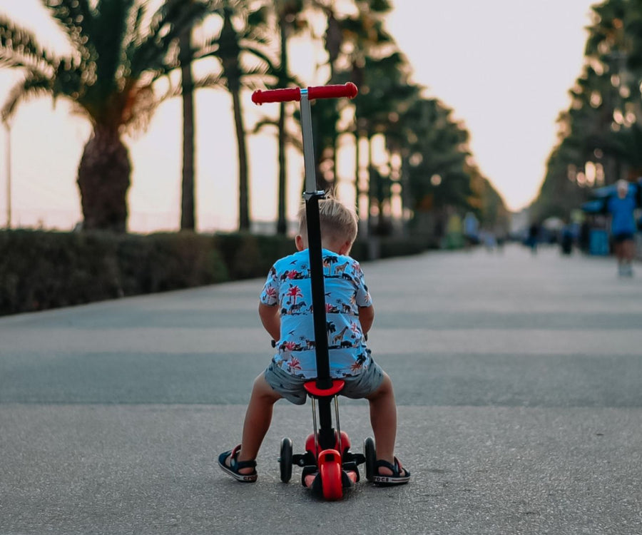 Discover the Ultimate 3-in-1 Scooter for Young Adventurers by Milly Mally at www.brixbailey.com