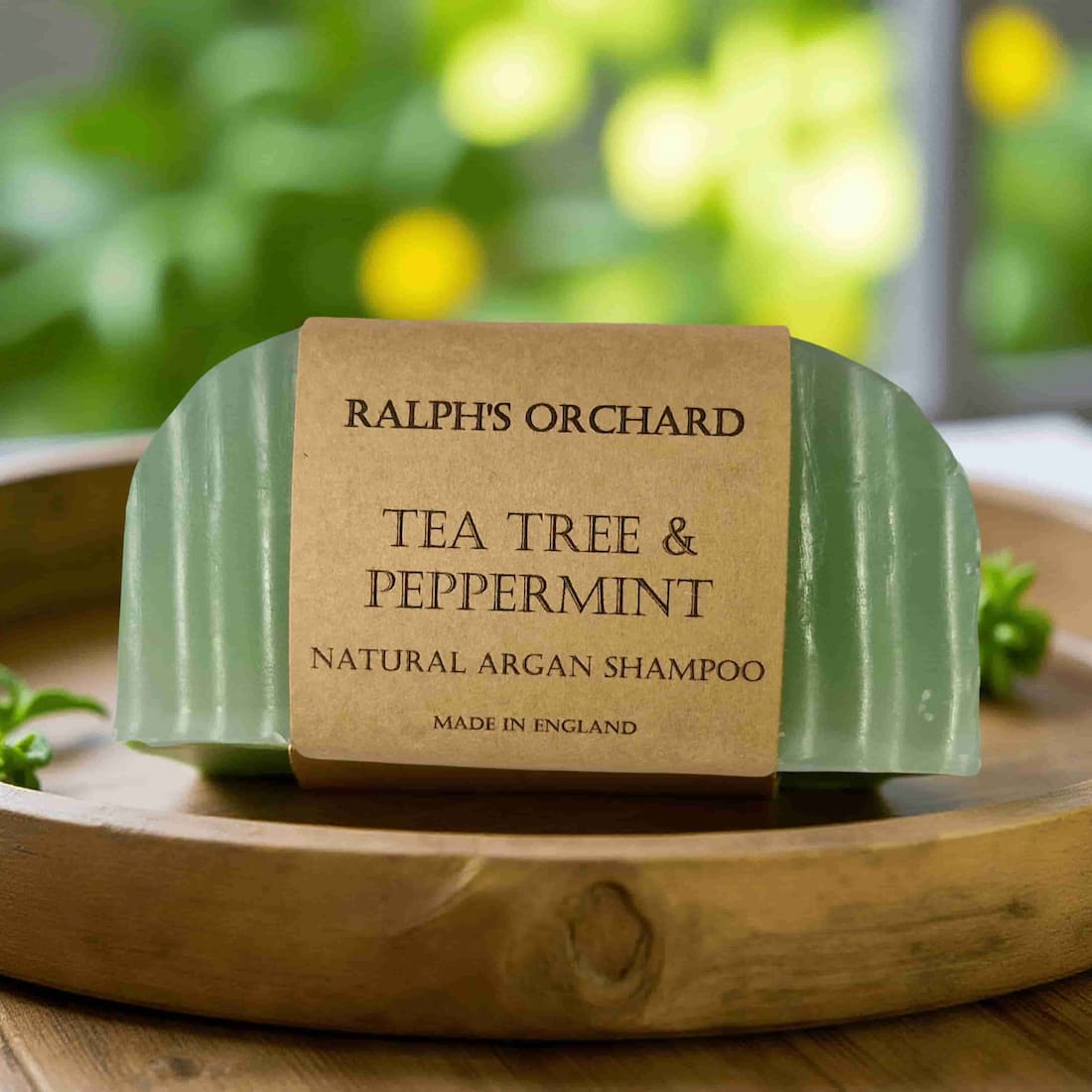 Argan Solid Shampoo Bars