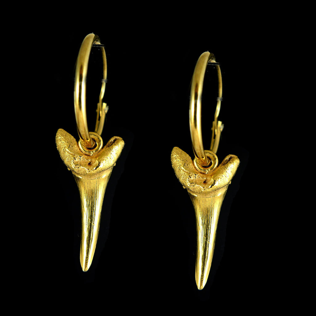 Sharks Tooth Earrings