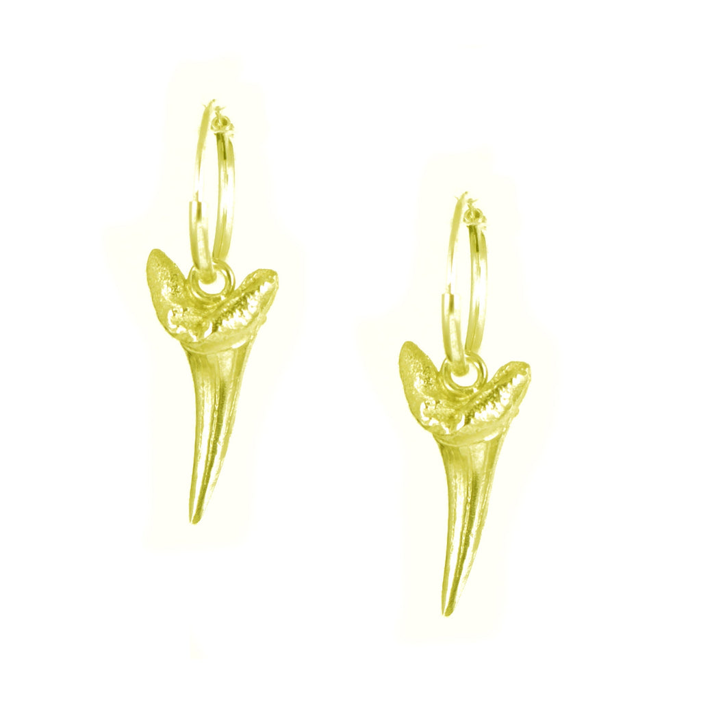 Sharks Tooth Earrings