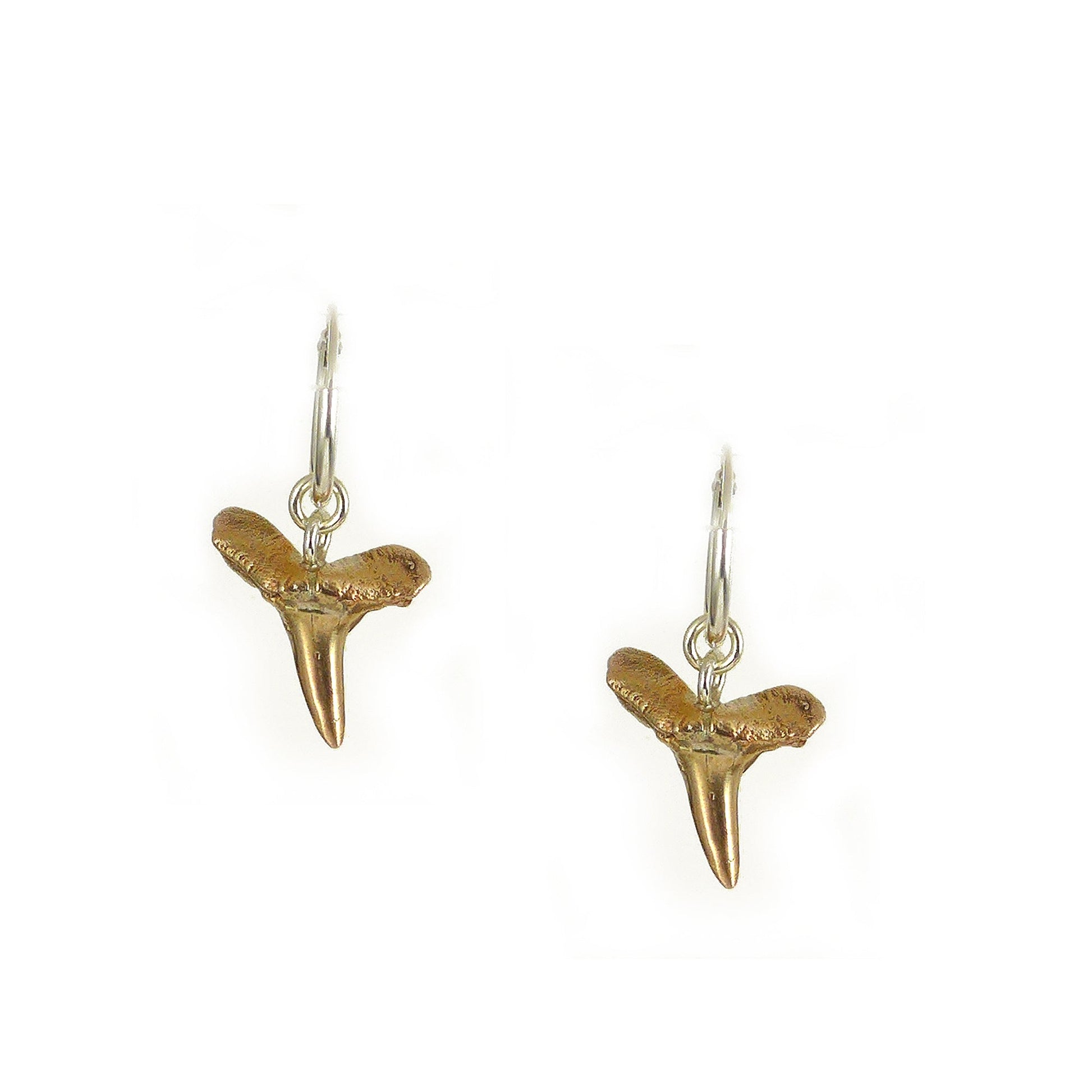 Bronze Sharks Tooth Earrings