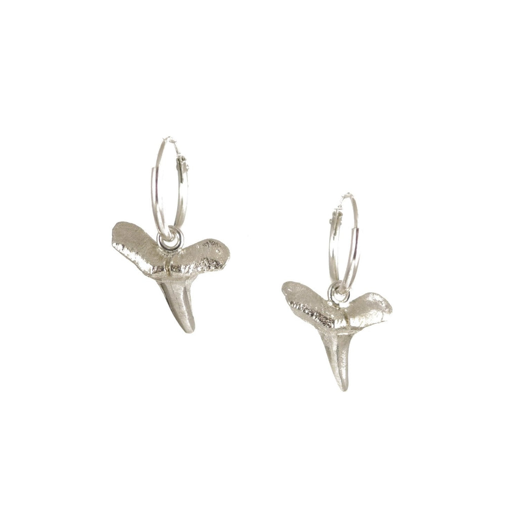 Sharks Tooth Earrings