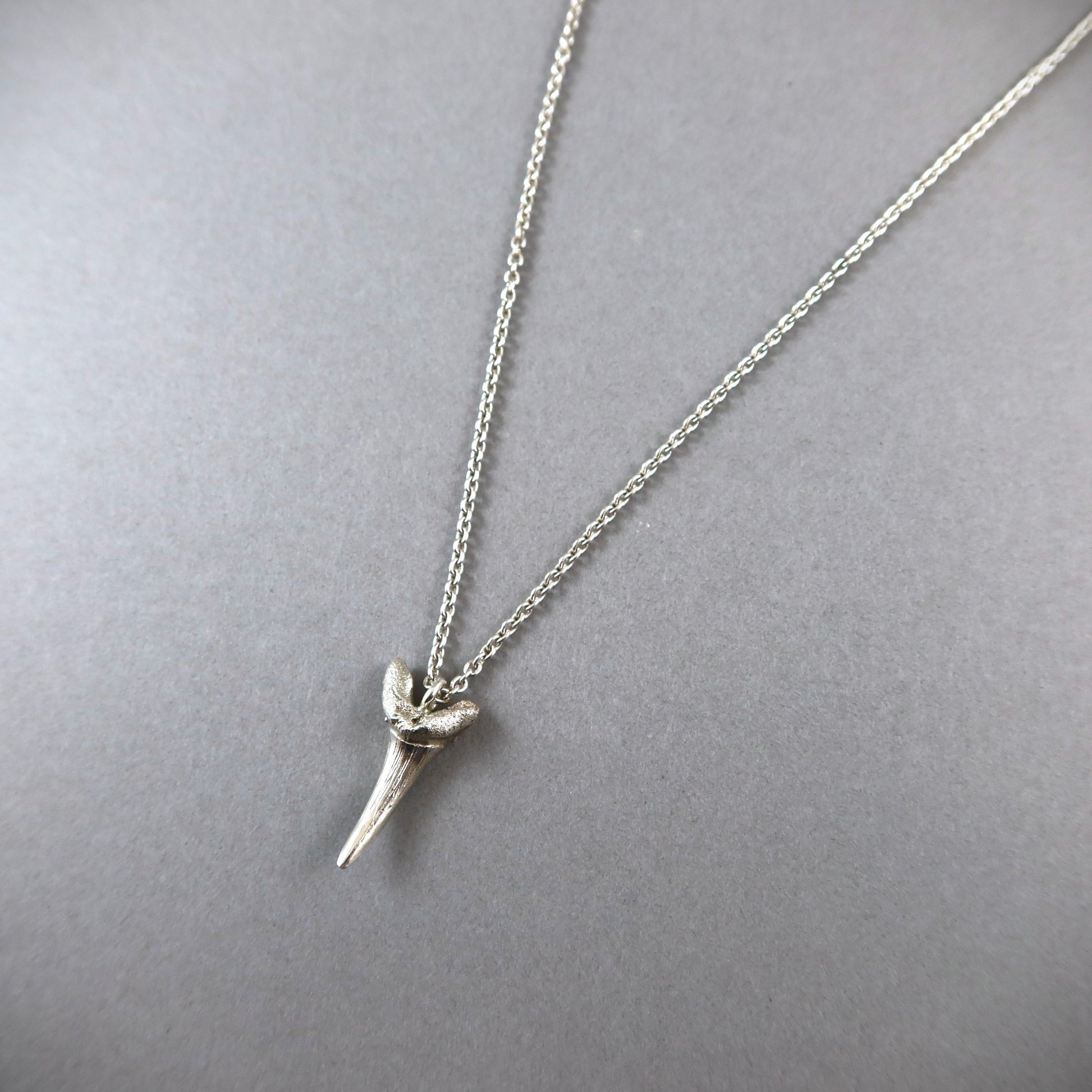 Fossilised Sand Shark Tooth Necklace