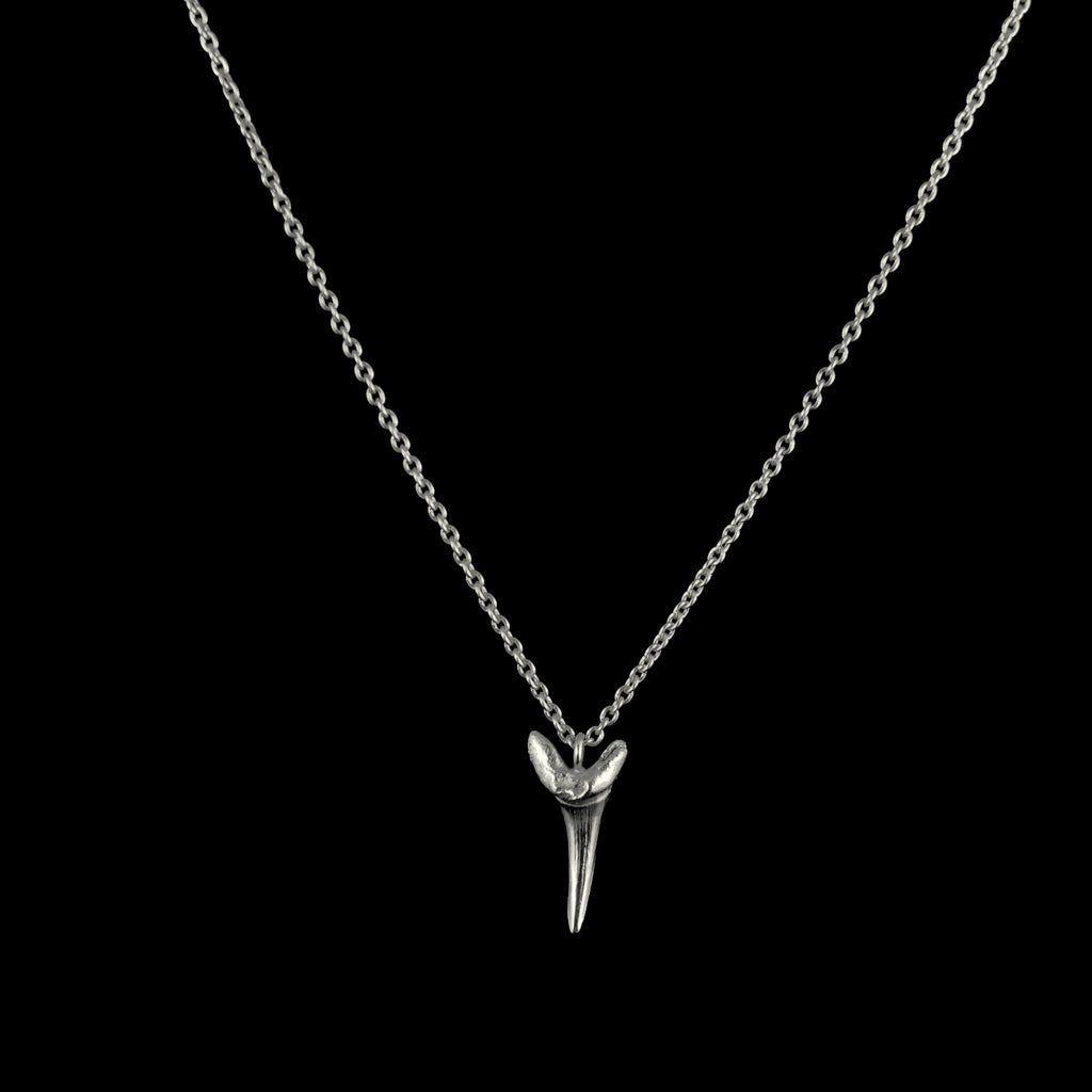Fossilised Sand Shark Tooth Necklace