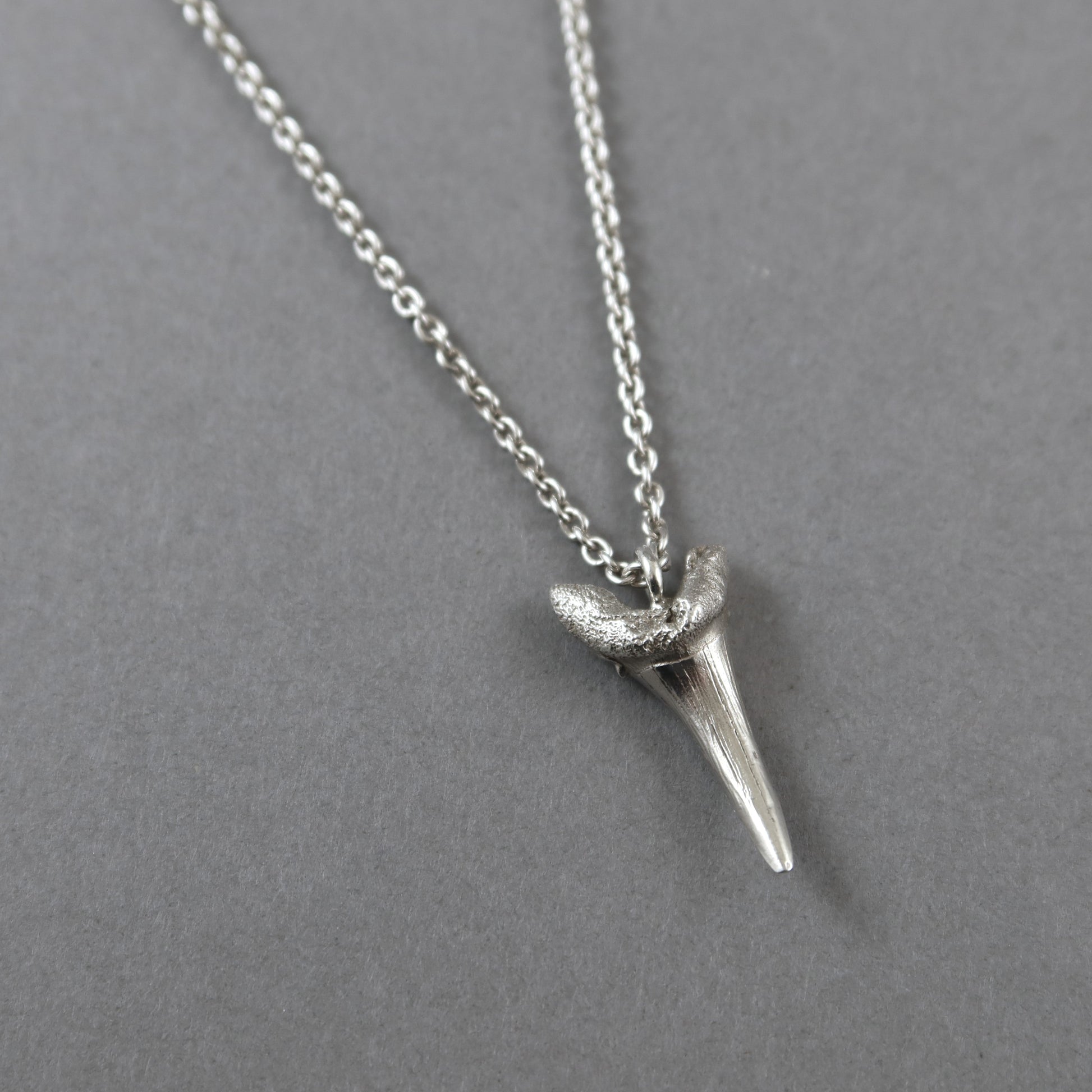 Fossilised Sand Shark Tooth Necklace