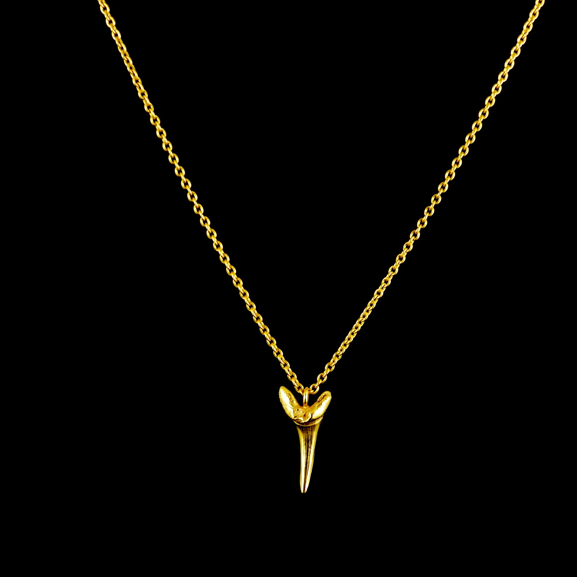 Fossilised Sand Shark Tooth Necklace