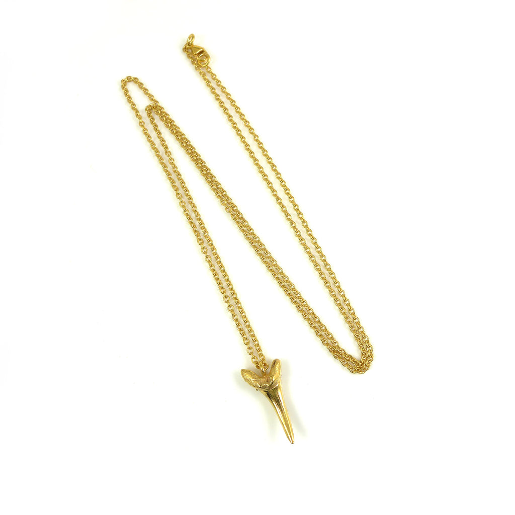Fossilised Sand Shark Tooth Necklace